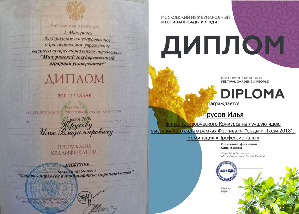 Дипломы