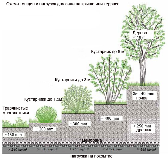 схема для сада на крыше